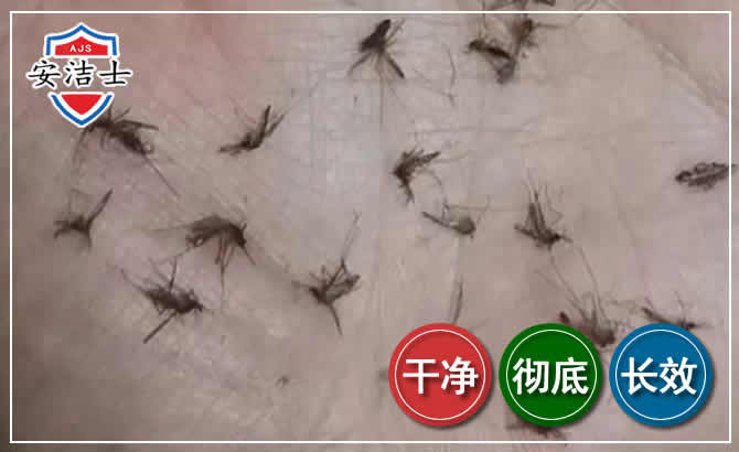 桐乡蚊子防治-灭蚊
