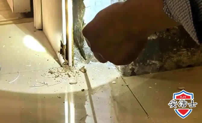 桐乡房屋建筑防治白蚁