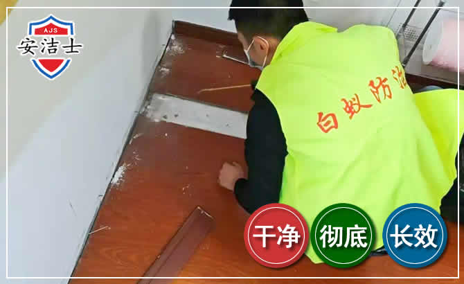 桐乡除四害现场