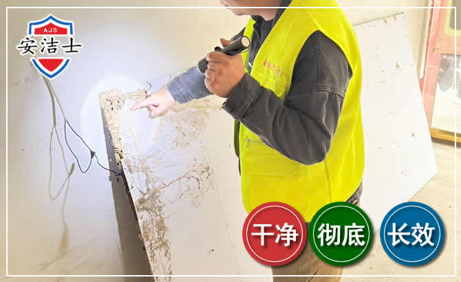 桐乡除白蚁现场