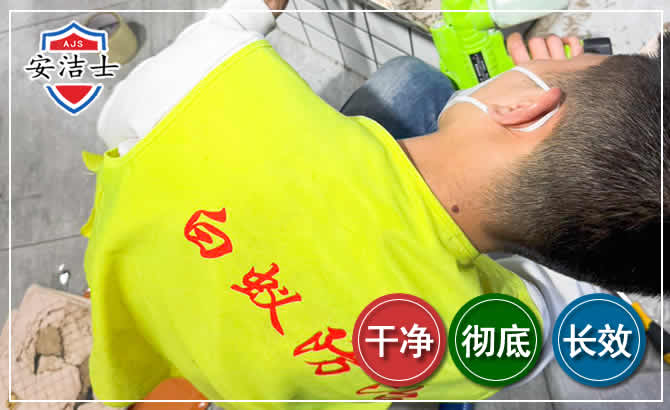 桐乡白蚁根治现场